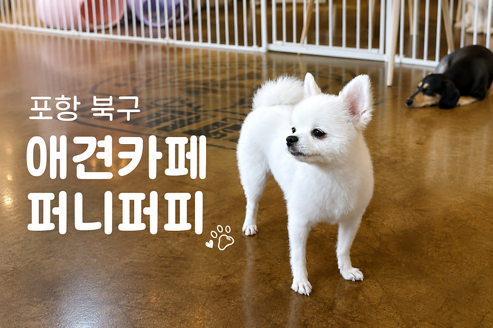 퍼니퍼피