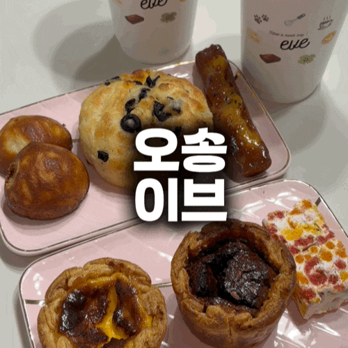 이전 오픈한 나의 오송 카페 ‘이브’