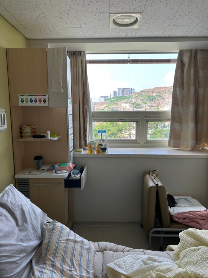 서울 한남동 순천향대학병원 쌍둥이 고위험산모 자궁경부길이 짧아짐 입원후기 2편, 아토시....