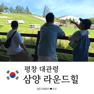 [평창 대관령 가볼만한 곳] 삼양 라운드힐 양떼목장