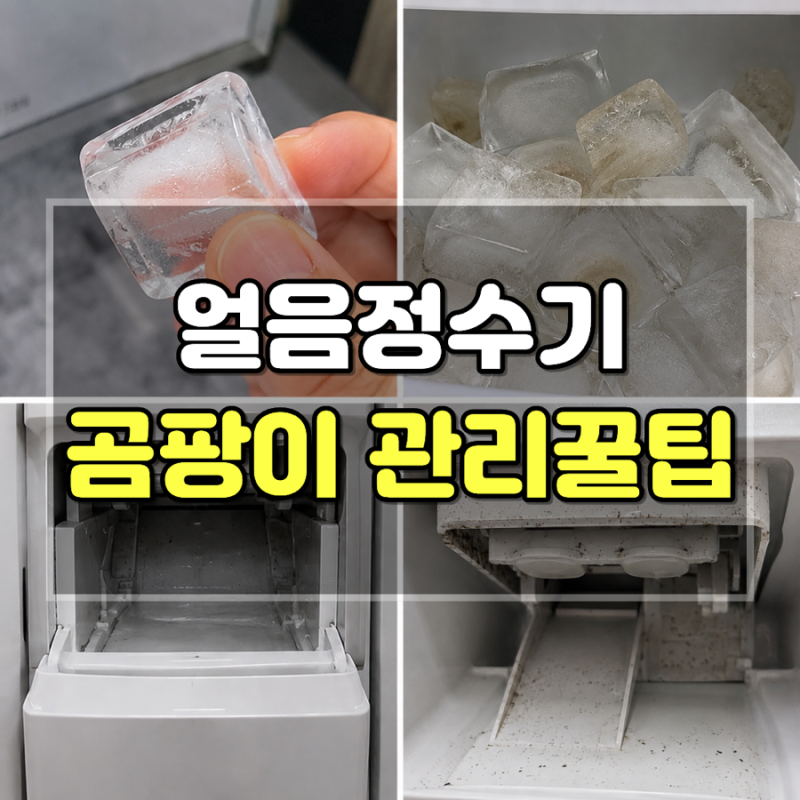 얼음정수기 곰팡이, 정말 위험할까? 청소 맡겨도 관리해야 하는 이유와 관리법 총정리