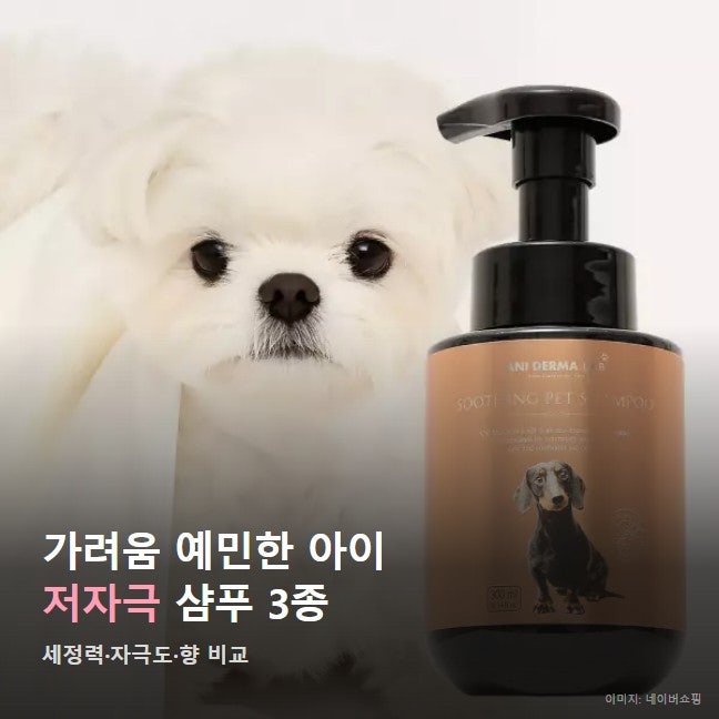 강아지 저자극 샴푸 추천, 애니더마랩 약용 저자극 샴푸 직접 써보니