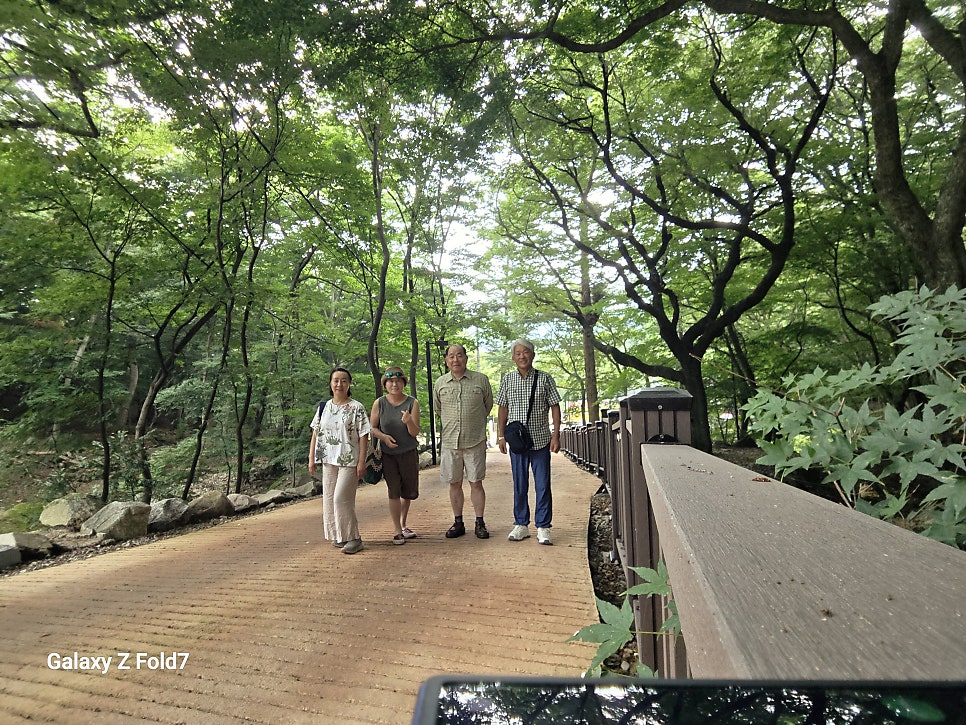 고창 문수사 단풍나무 숲 사진 2