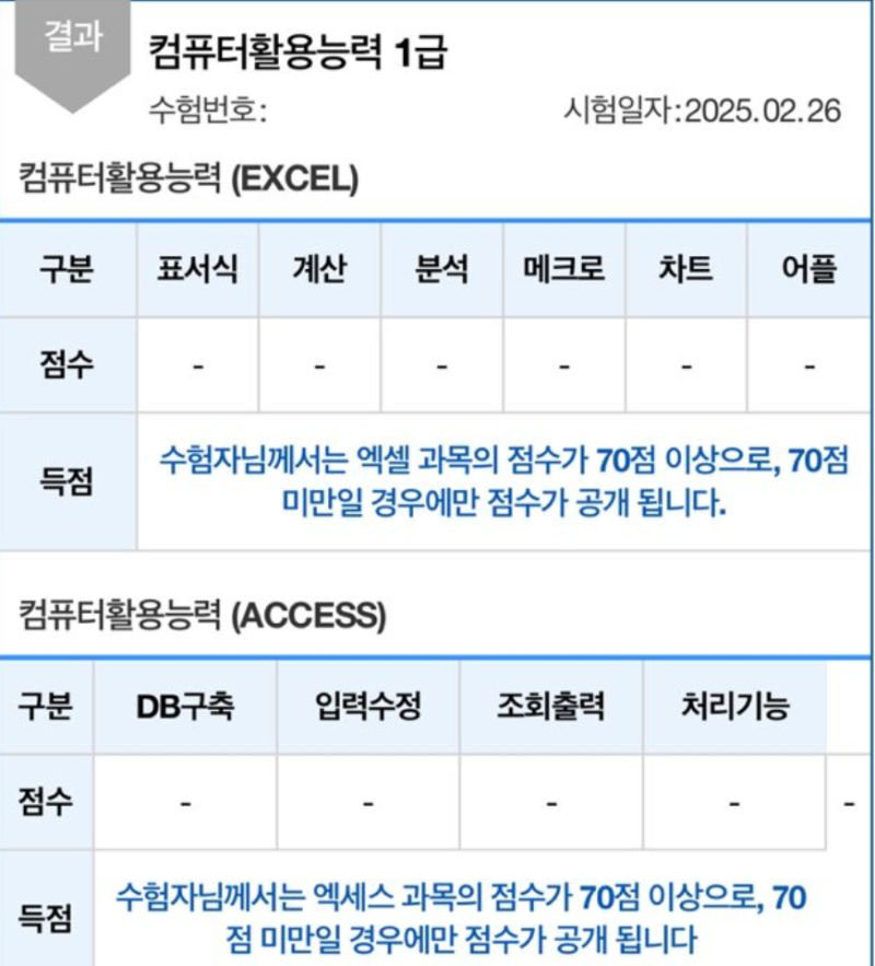 컴퓨터활용능력 1급 한 달 합격 후기 / 필기, 실기 공부법(컴활 1급 꿀팁)