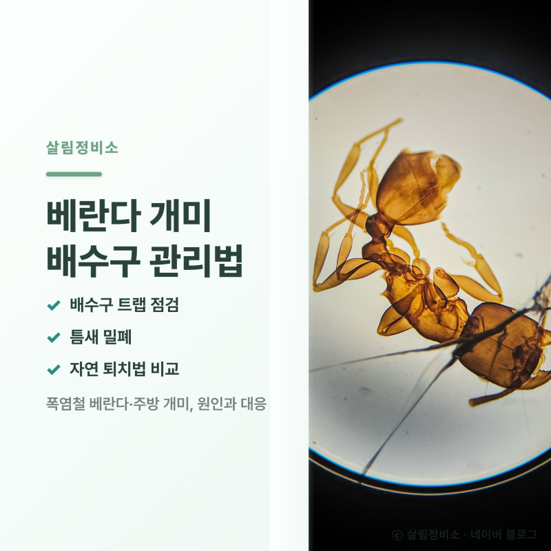 베란다 개미 행렬 보인다면, 커피찌꺼기 전에 배수구부터 확인하세요