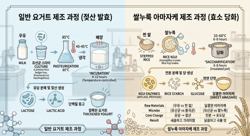 쌀누룩요거트에 '유산균'이 단 1%도 없는 이유 그런데 쌀누룩요거트에 유산균이 생긴 이유