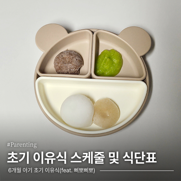 [이유식] 6개월 초기이유식 스케줄 및 식단표 공유