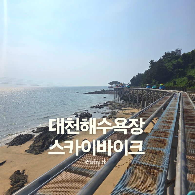 대천해수욕장 가볼만한곳 스카이바이크 요금 주차 후기