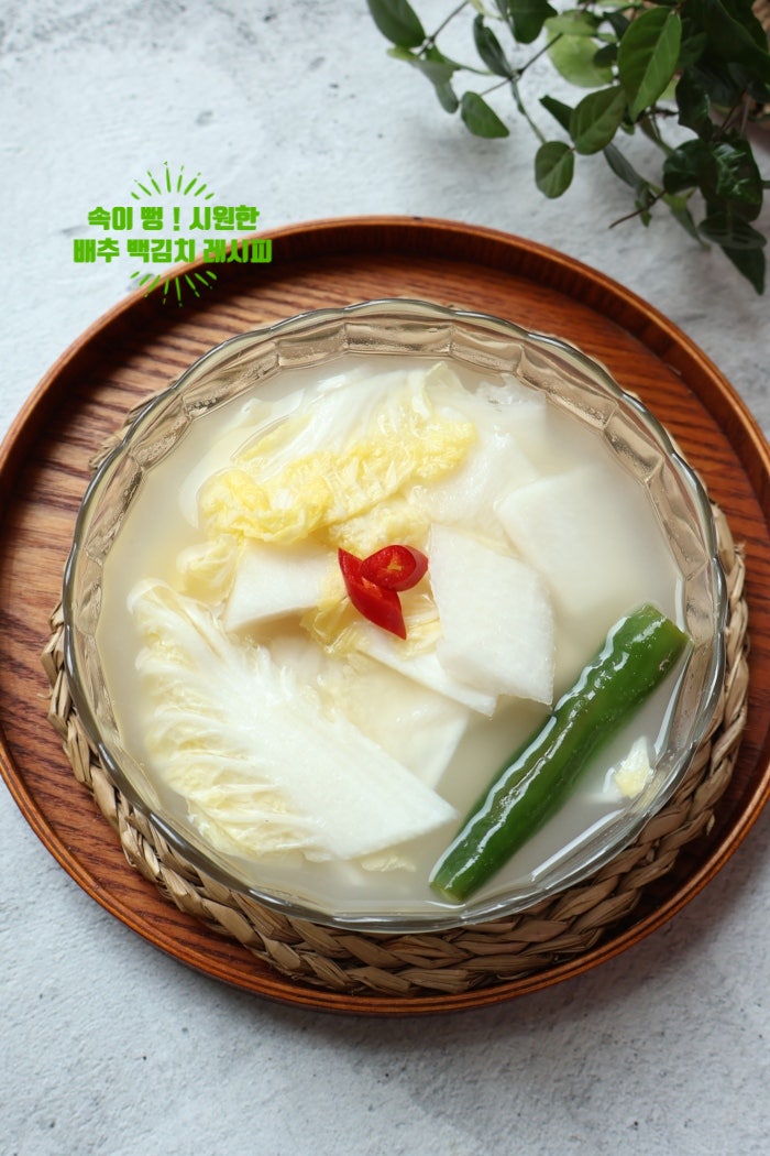 배추 물김치 담그는법 백김치 담그는 방법 레시피