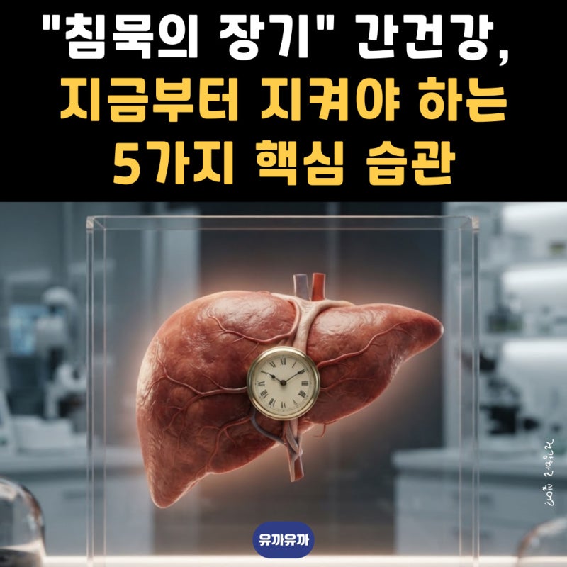 "침묵의 장기" 간건강, 지금부터 지켜야 하는 5가지 핵심 습관