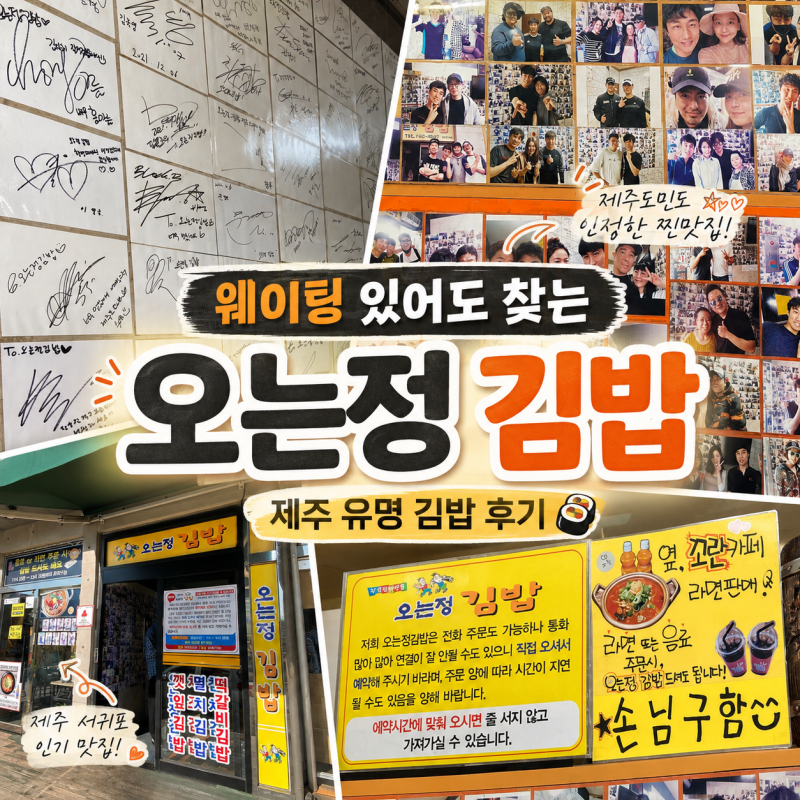 제주 서귀포 오는정김밥 예약 방법,가격,영업시간 총정리/유명 김밥집 방문 후기