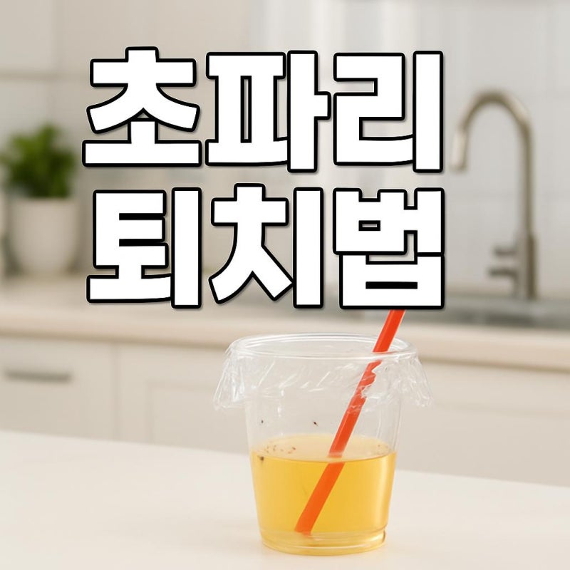 여름철 불청객 초파리 퇴치법! 싱크대 배수구 관리와 초파리 트랩 만들기