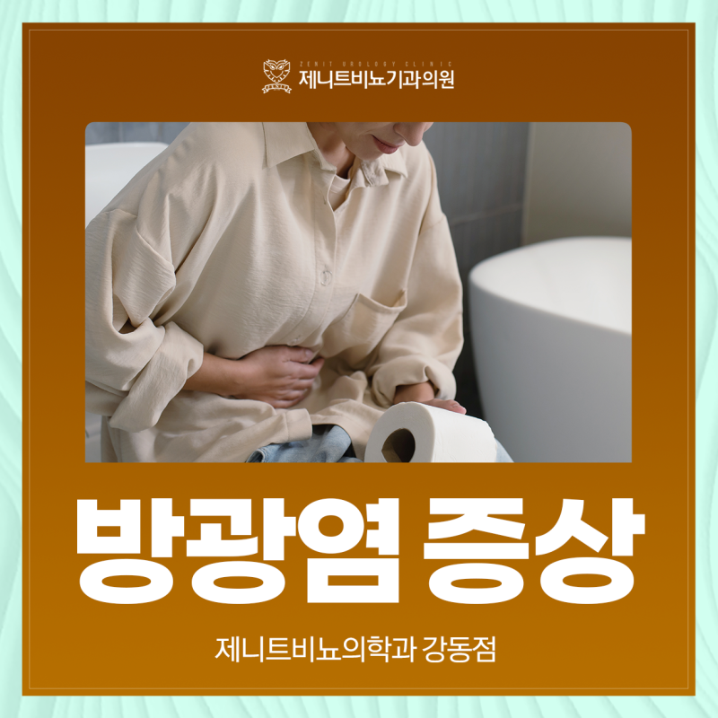 방광염 증상 여성에게 자주 생기는 이유 알려드리는 제니트비뇨의학과 강동점