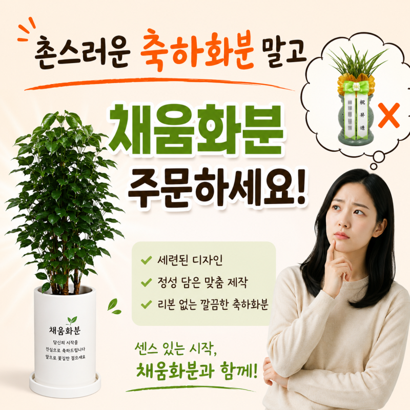 개업화분 예쁘게하는 곳 승진 축하 선물 센스있는 채움 화분