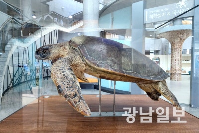 신안갯벌박물관 사진 1