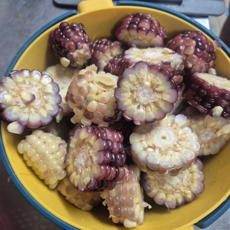 LABO마켓에서 제철 과일 및 농산물, 가공식품 등 구매 가능 - 판매 중인 강원도 흑찰옥수수 산....