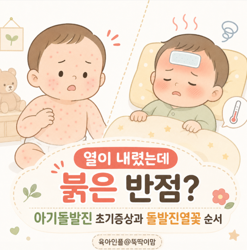 열이 내렸는데 붉은 반점? 아기돌발진 초기증상과 돌발진열꽃 순서