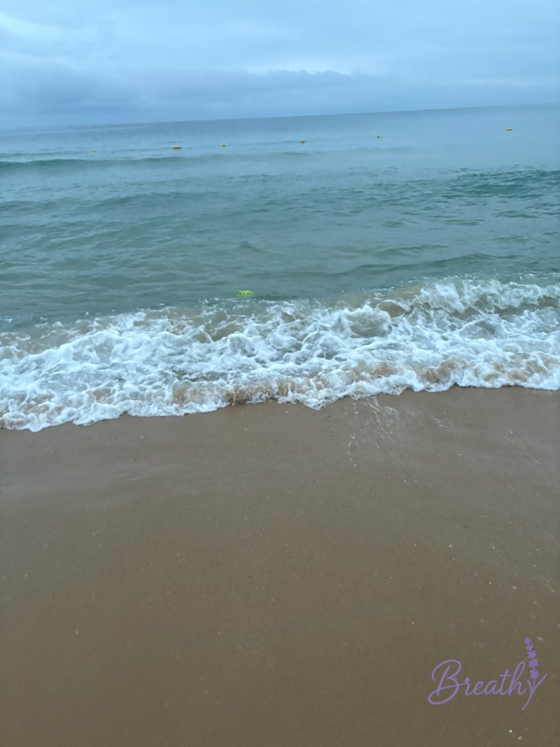 [강원도 여행] 송지호 해변 및 바다 하늘길