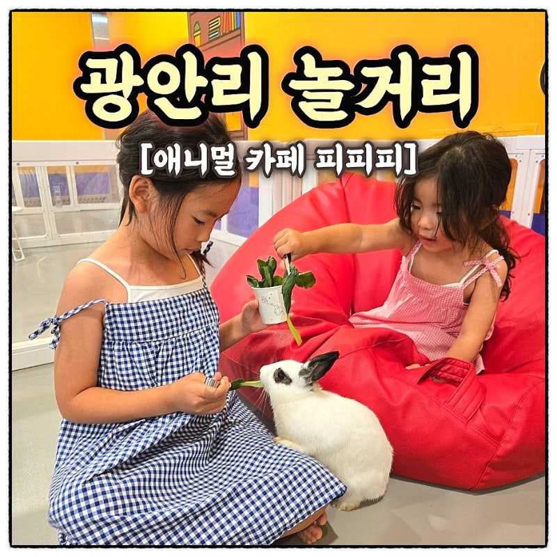 부산가볼만한곳 광안리 아이랑 실내 부산놀거리 애니멀카페 피피피
