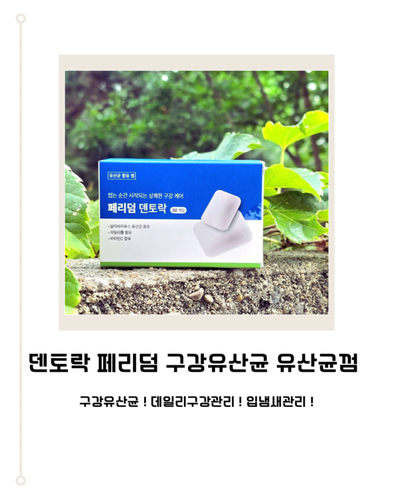 덴토락 페리덤 구강유산균 유산균껌 추천 이유