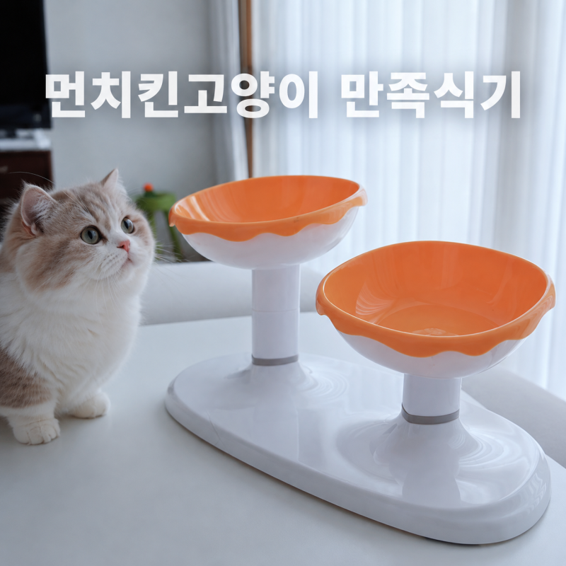 먼치킨 고양이전용식기 캣디피 듀얼 보울 2개째 사용후기