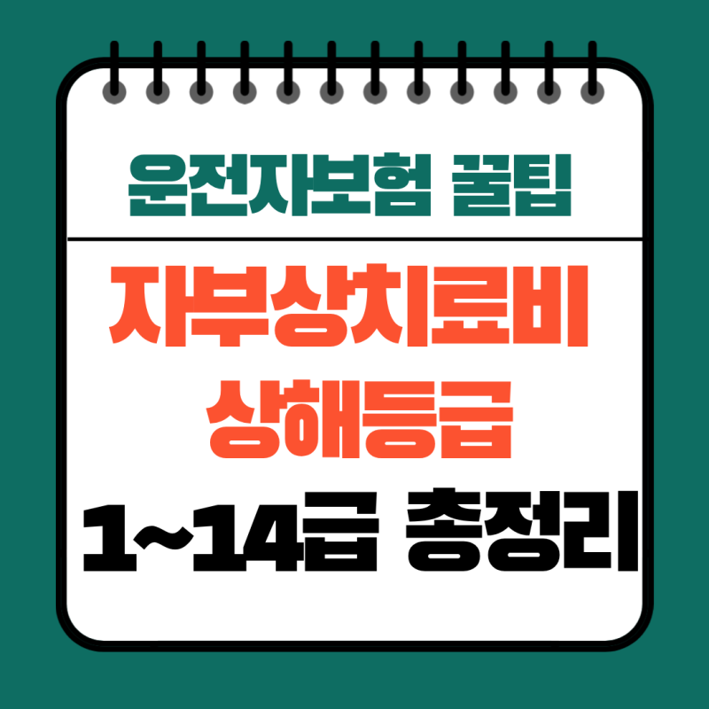 자동차부상치료비(자부상) 상해등급 1급~14급 판정 기준 총정리