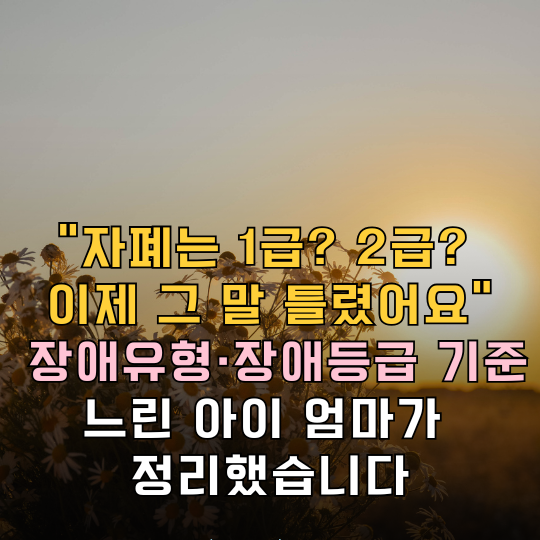 느린 아이 장애유형과 장애등급 기준 한 번에 정리_심한 장애·심하지 않은 장애·발달장애 ....