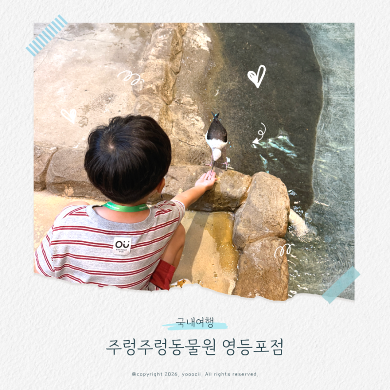 서울 영등포 주렁주렁, 실내 동물원 먹이주기 체험, 할인, 소요시간 총정리