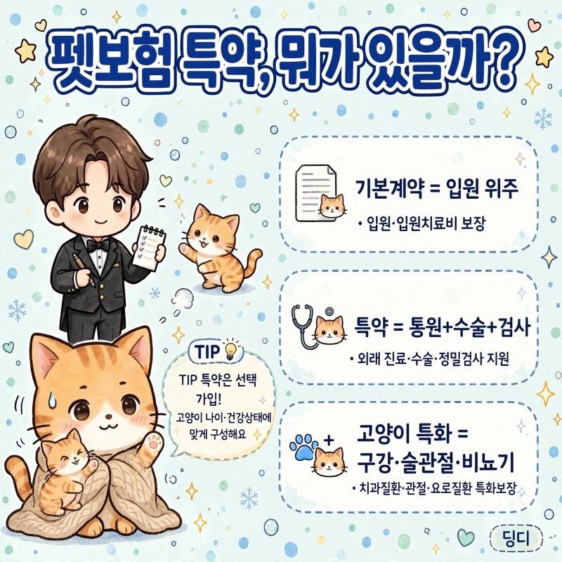 고양이 펫보험, 가입 전 꼭 확인할 특약 5가지 총정리