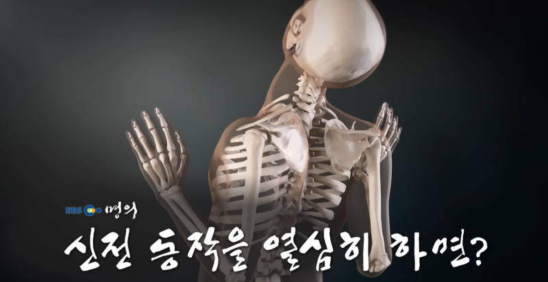 거북목, 목/허리 디스크, 라운드 숄더에 수렴하는 현대인을 위한 운동법 : 신전 동작. 허리 ....