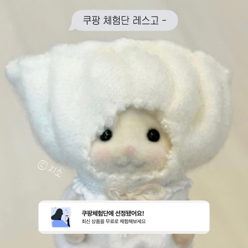 쿠팡 체험단 하는법 | 신청부터 선정 기준까지 일주일만에 가능했던 후기