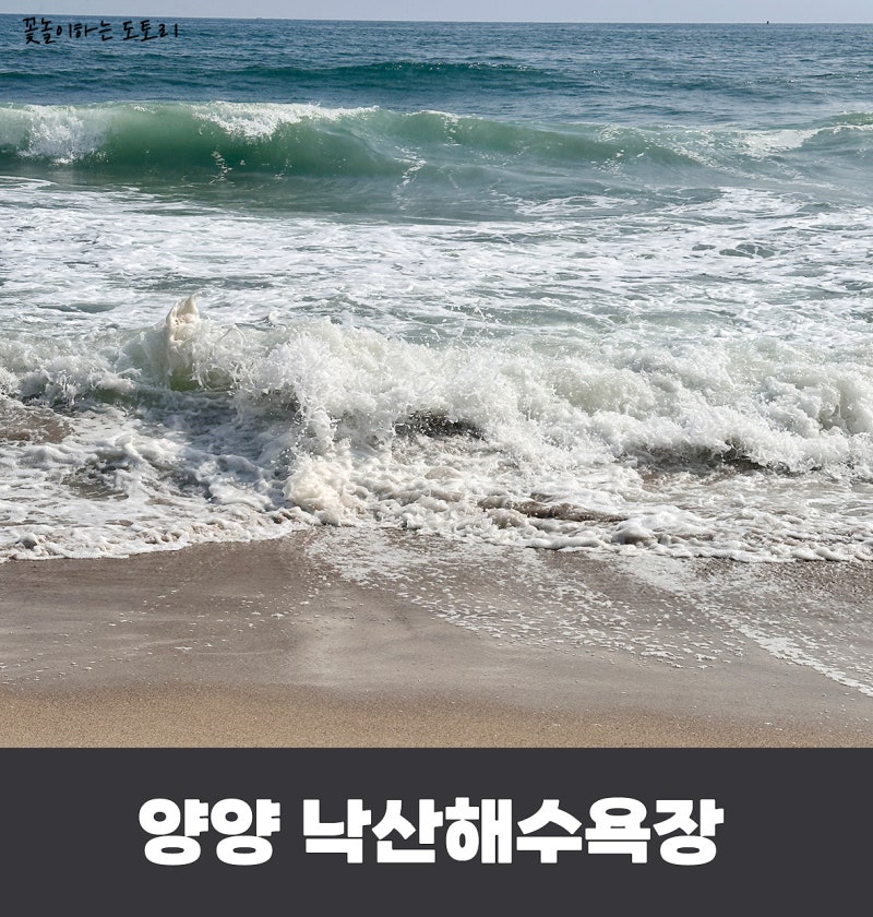 강원도 양양 아이와 갈만한 수심 깊지않은 해수욕장 추천 낙산 해수욕장