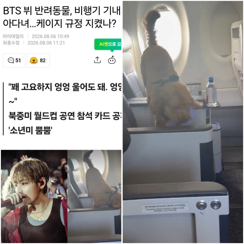 "조회수위한 어그로 BTS 뷔 흠집내기?"...'반려견 기내 활보' 기사에 쏟아지는 비난 왜