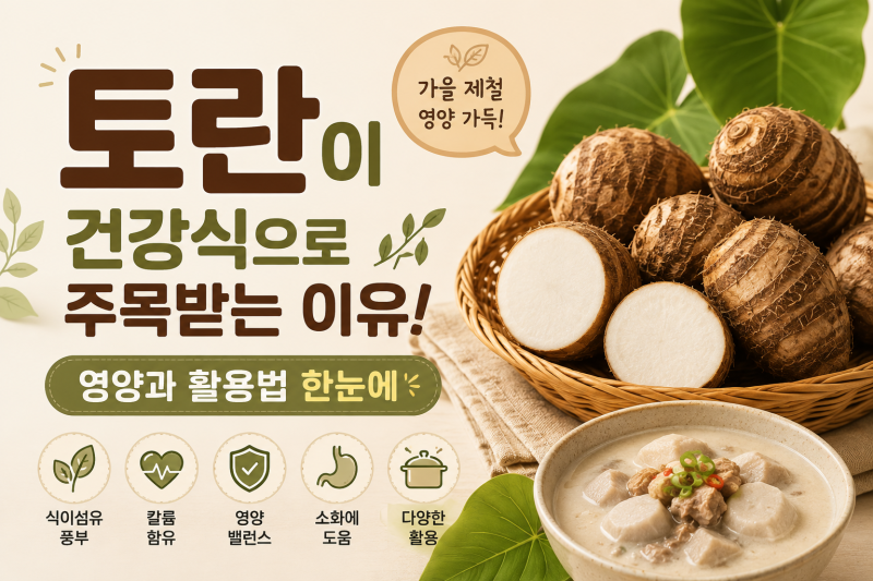 토란이 건강식으로 주목받는 이유! 영양과 활용법 한눈에