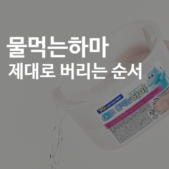 물먹는하마 교체시기와 버리는법｜한번에 정리