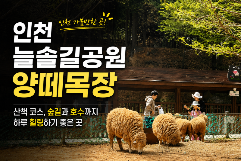 인천 늘솔길공원 양떼목장 산책 코스, 숲길과 호수까지 하루 힐링하기 좋은 곳