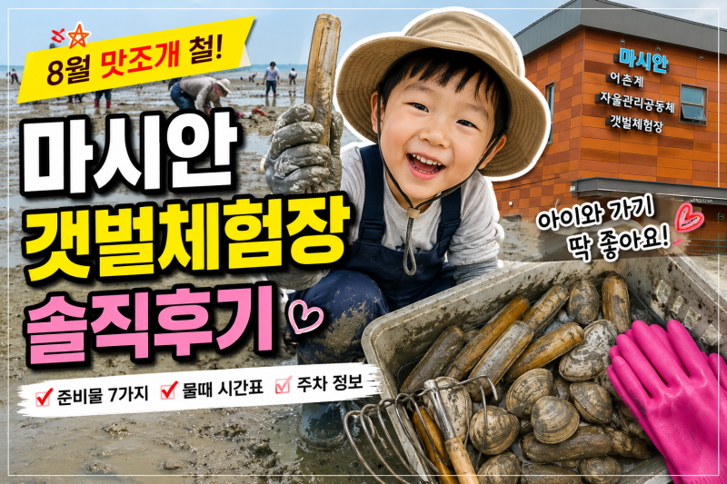 마시안 갯벌체험 직접 다녀왔습니다! 준비물부터 물때까지 총정리
