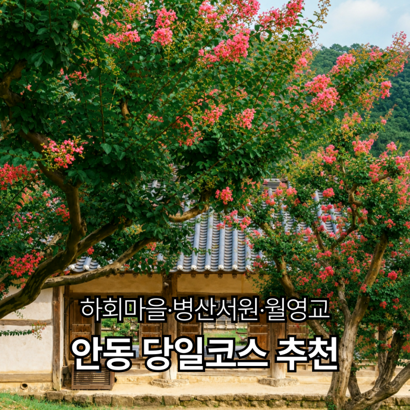 안동 여행 코스 추천 | 하회마을·병산서원·월영교까지 하루에 즐기는 당일치기 코스