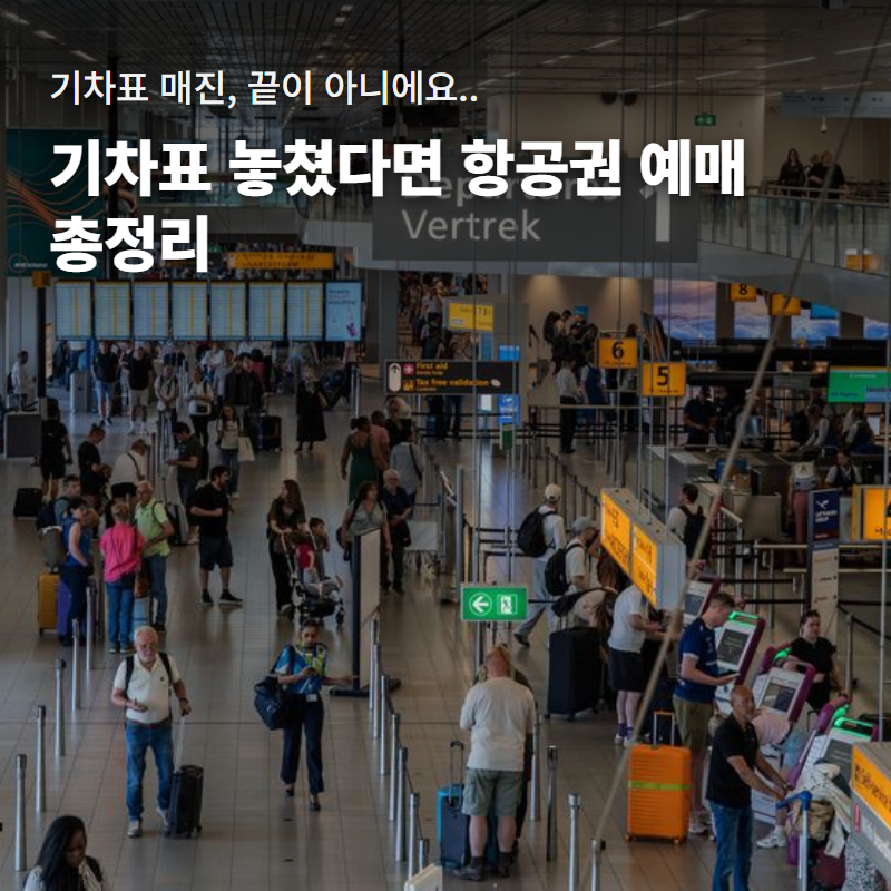 추석 연휴 항공권 예매 오픈 시간과 취소표 잡는 법｜국내선 항공사별 비교
