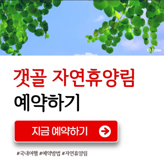 갯골자연휴양림 예약 방법 숲속의 집 휴양관 인제 숙소