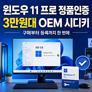 3만원대 윈도우 11 프로 정품인증 어렵지 않다! OEM 시디키 구매부터 등록까지 한 번에