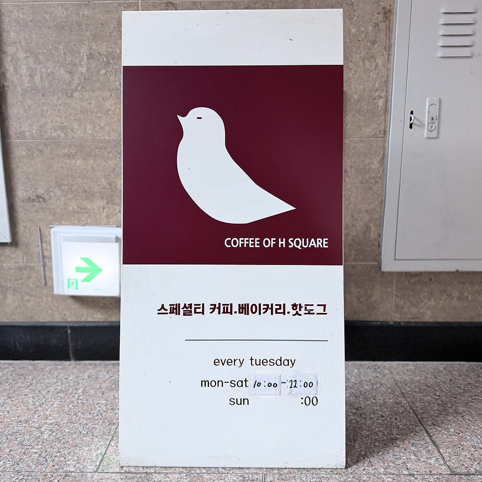 오브 사진 5
