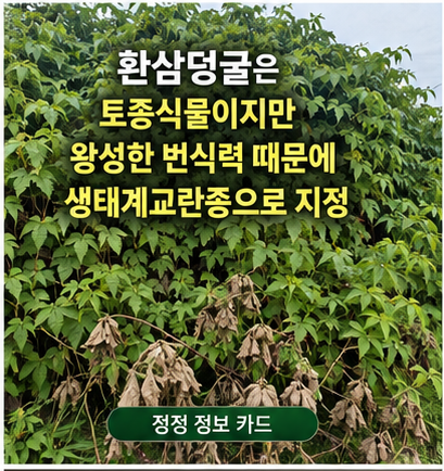 [잡초]환삼덩굴 예초기로 정리 힘든 이유, 제초제 종류별 선택법과 주의점