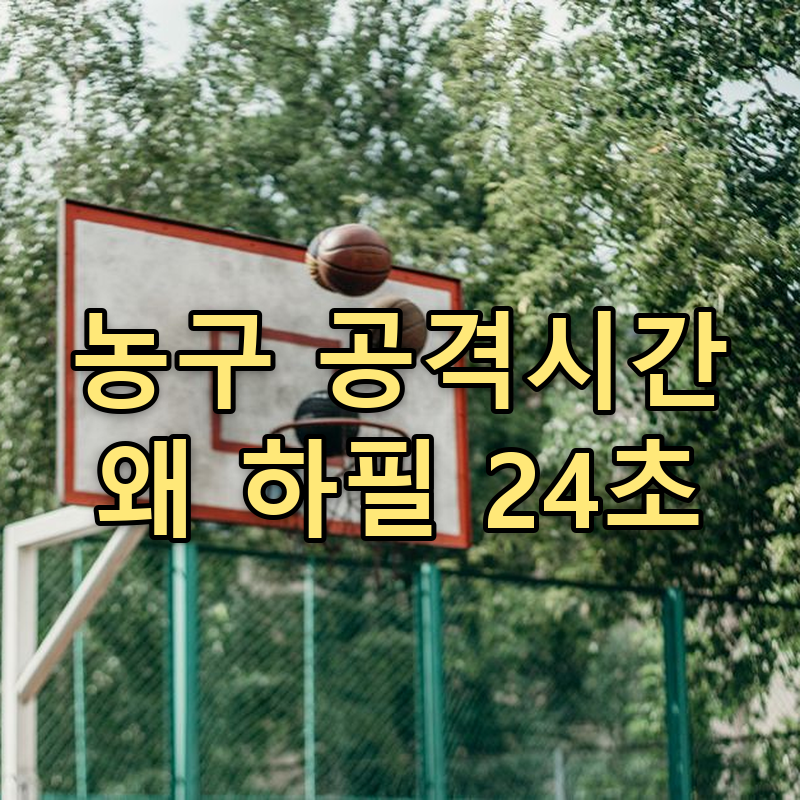 농구 공격 제한시간은 왜 24초일까: 24초 룰의 탄생과 숨은 원리