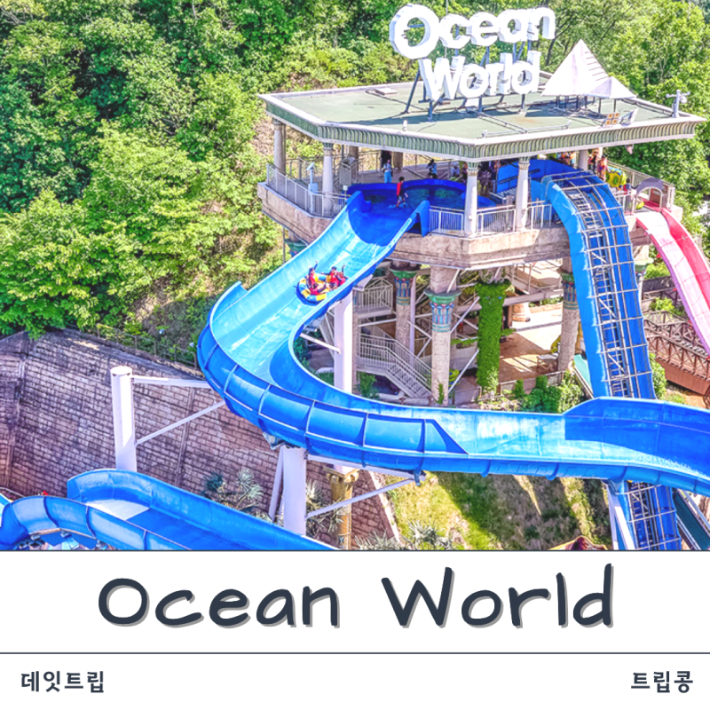 비발디파크 오션월드 예약 방법, 입장권 할인, 요금, 준비물 총정리 + 얼리파크인과 오션패스....