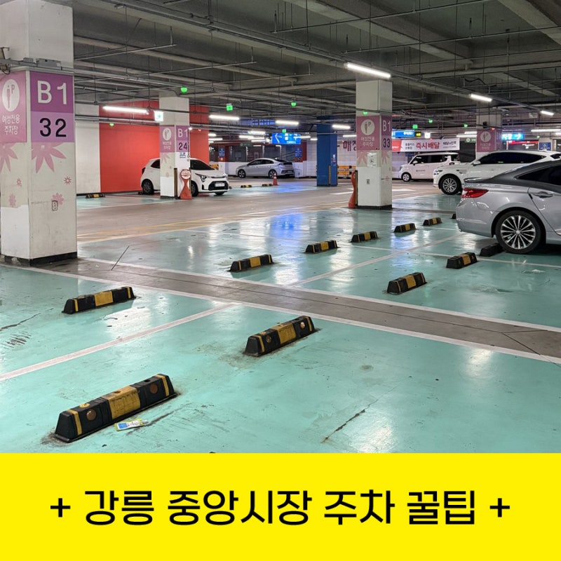 강릉 중앙시장 주차 꿀팁｜홈플러스 이디야에서 2시간 무료주차 되는 거 아셨나요?