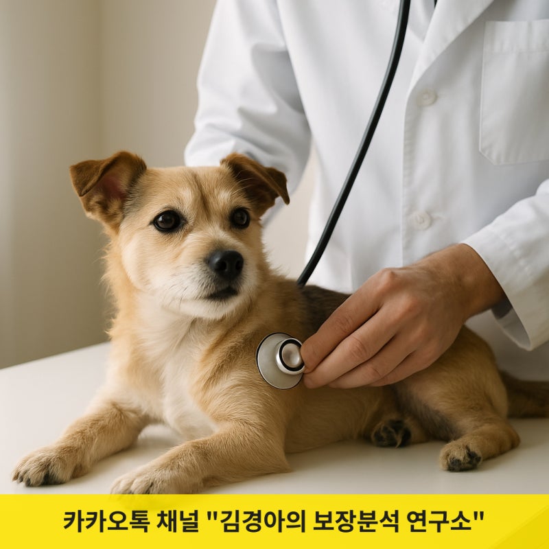 펫보험 가입 나이, 언제가 가장 좋을까?