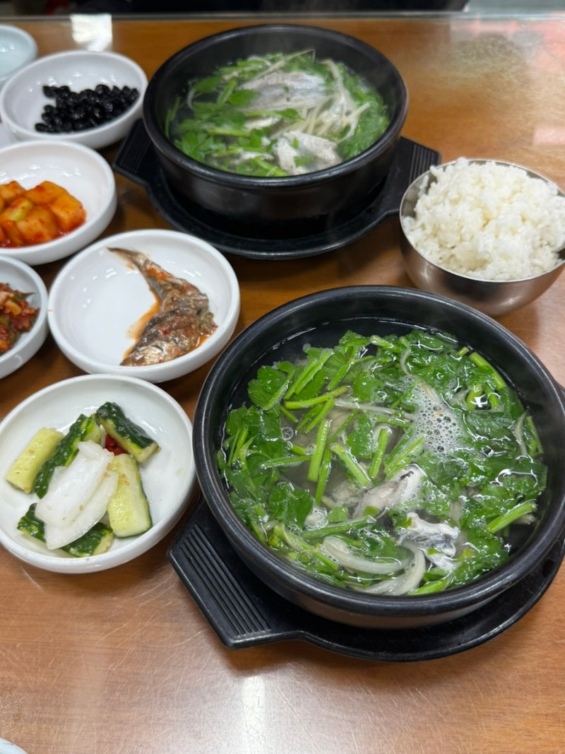 [통영 : 부일식당] 통영 해장은 어디? 현지인 가득한 복국 맛집 / 복매운탕/주차꿀팁/맛있게먹....