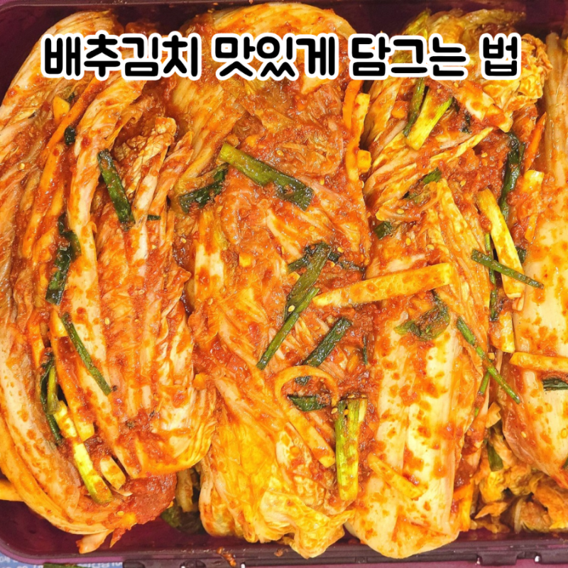 배추김치 맛있게 담그는 법 김치 맛이 달라진 진짜 비법
