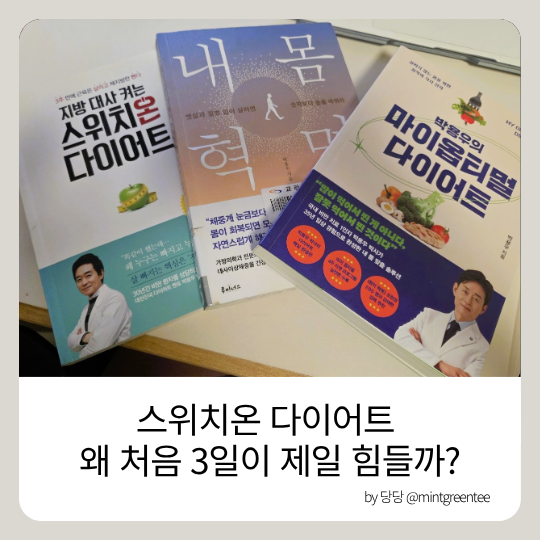 스위치온다이어트 1~3일차, 왜 이렇게 힘들다는 건지 이론부터 알아봤어요